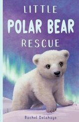 Little Polar Bear Rescue hind ja info | Noortekirjandus | kaup24.ee