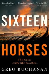 Sixteen Horses цена и информация | Фантастика, фэнтези | kaup24.ee