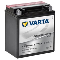 Akumuliatorius Varta AGM 12 V 14 Ah YTX16-4-1 / YTX16-BS-1 hind ja info | Mootorrataste akud | kaup24.ee