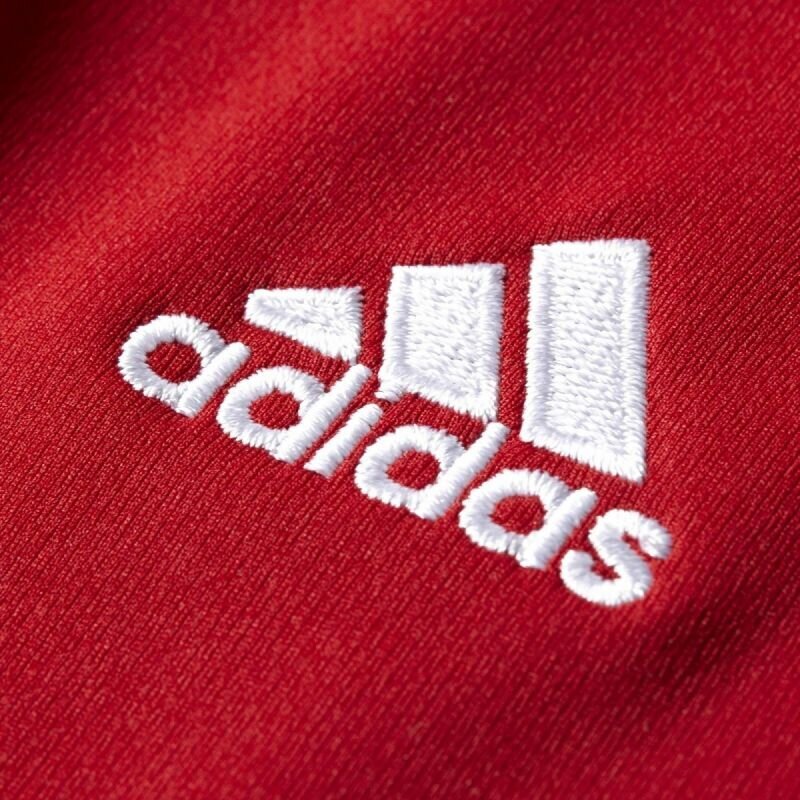 Jalgpallisärk Adidas Estro 15 JSY hind ja info | Jalgpalli varustus ja riided | kaup24.ee