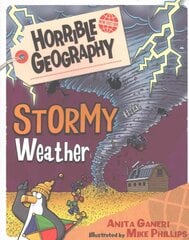 Stormy Weather hind ja info | Noortekirjandus | kaup24.ee