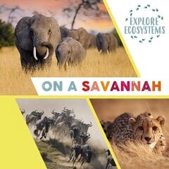 Explore Ecosystems: On a Savannah Illustrated edition цена и информация | Книги для подростков и молодежи | kaup24.ee