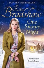 One Snowy Night цена и информация | Фантастика, фэнтези | kaup24.ee