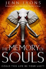 Memory of Souls цена и информация | Фантастика, фэнтези | kaup24.ee