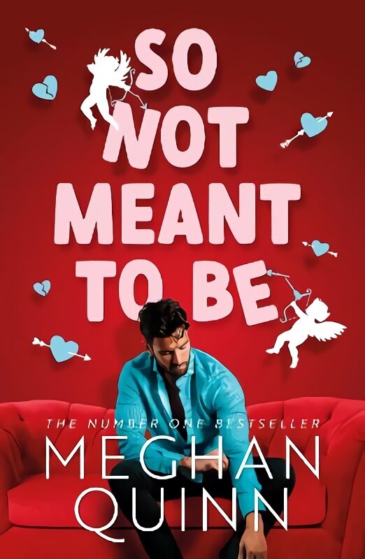 So Not Meant To Be: The steamy and hilarious no. 1 bestseller inspired by When Harry Met Sally цена и информация | Fantaasia, müstika | kaup24.ee