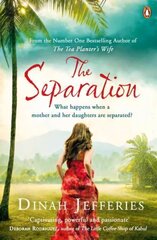 Separation: Discover the perfect escapist read from the No.1 Sunday Times bestselling author of The Tea Planter's Wife цена и информация | Фантастика, фэнтези | kaup24.ee