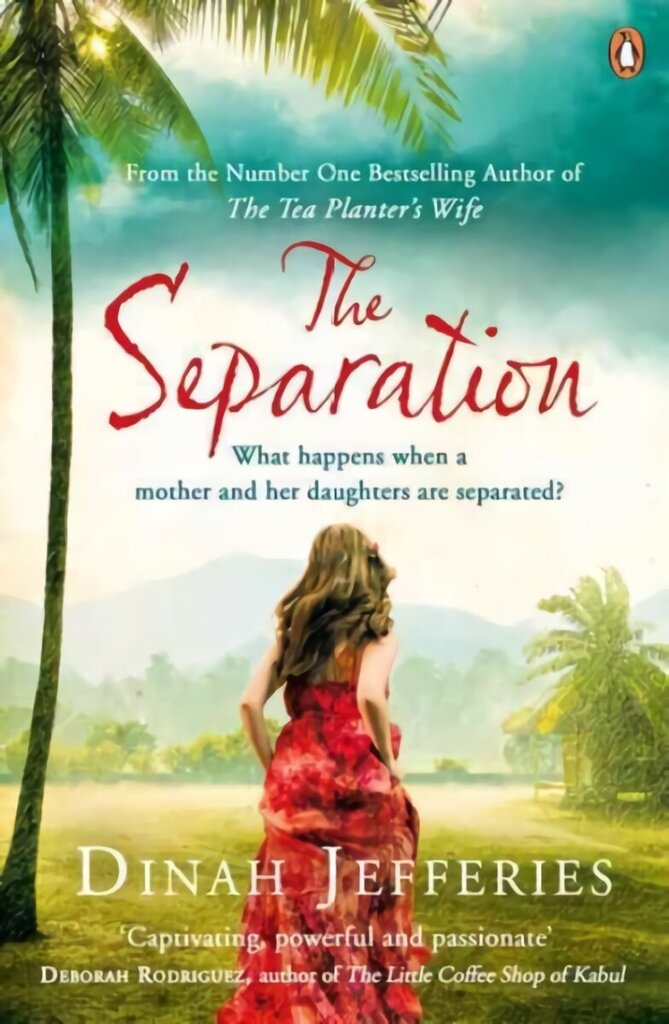 Separation: Discover the perfect escapist read from the No.1 Sunday Times bestselling author of The Tea Planter's Wife цена и информация | Fantaasia, müstika | kaup24.ee