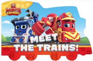 Meet the Trains! цена и информация | Книги для подростков и молодежи | kaup24.ee