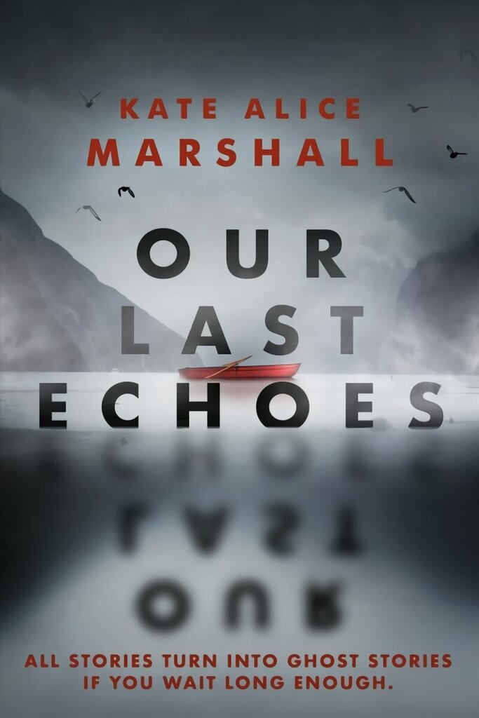 Our Last Echoes hind ja info | Noortekirjandus | kaup24.ee