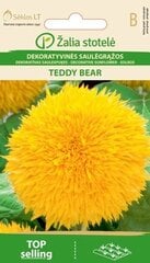 Декоративный подсолнечник Teddy bear цена и информация | Семена цветов | kaup24.ee