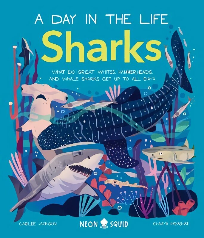 Sharks (A Day in the Life): What Do Great Whites, Hammerheads, and Whale Sharks Get Up To All Day? цена и информация | Noortekirjandus | kaup24.ee