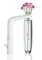 Valamusegisti Grohe Eurostyle, L suurus, valge, 23569LS3 hind ja info | Vannitoa segistid | kaup24.ee