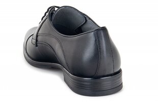 Мужские ботинки FERMANI 145136045751 цена и информация | Мужские ботинки | kaup24.ee