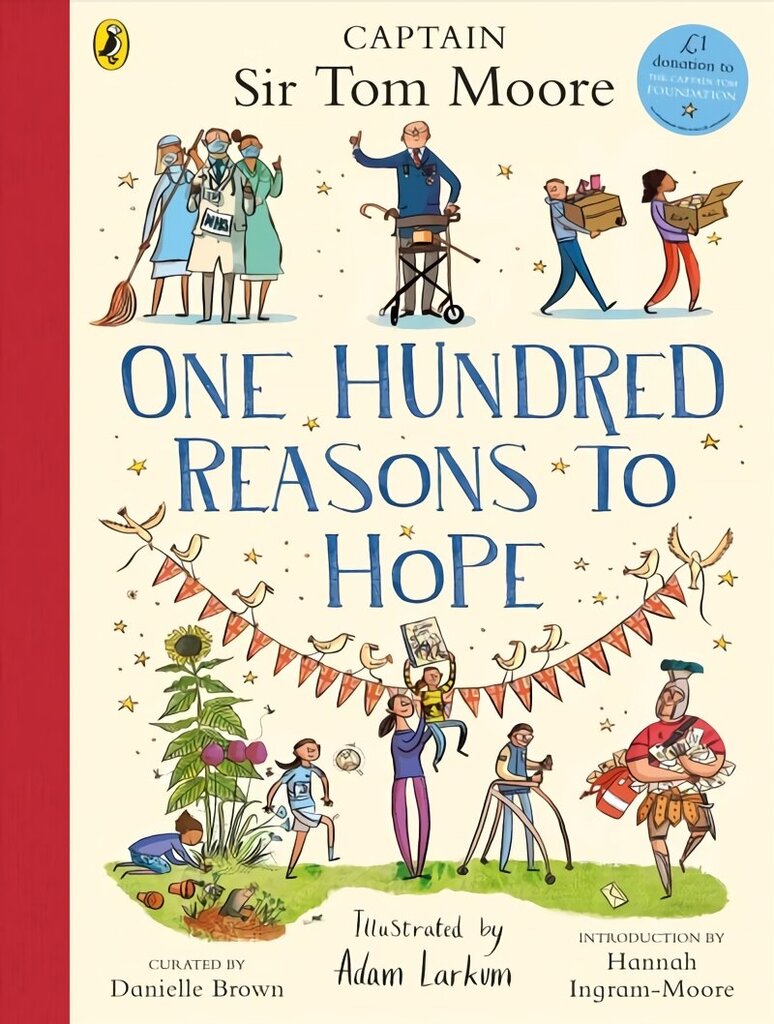 One Hundred Reasons To Hope: True stories of everyday heroes цена и информация | Noortekirjandus | kaup24.ee