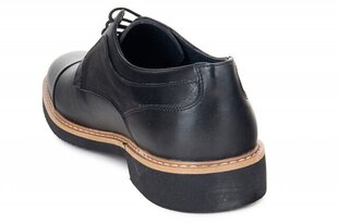 Мужские ботинки FERMANI 140341045751 цена и информация | Мужские ботинки | kaup24.ee