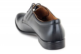 Мужские ботинки WALL STREET 144481045751 цена и информация | Мужские ботинки | kaup24.ee