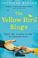 Yellow Bird Sings цена и информация | Фантастика, фэнтези | kaup24.ee