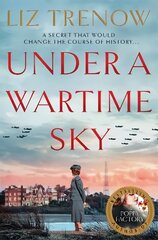 Under a Wartime Sky цена и информация | Фантастика, фэнтези | kaup24.ee