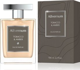 Парфюмированная вода для мужчин Allverne Tobacco & Amber EDP, 100 мл цена и информация | Мужские духи | kaup24.ee