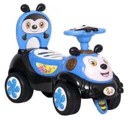 Tõukeauto, 60 x 29 x 36 cm hind ja info | Imikute mänguasjad | kaup24.ee