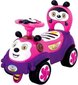Tõukeauto, 60 x 29 x 36 cm hind ja info | Imikute mänguasjad | kaup24.ee