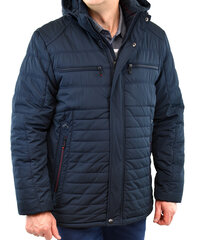 Куртка мужская Skorp, 333D, большая цена и информация | Мужские куртки | kaup24.ee