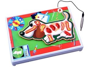 Elektrooniline mäng "Väike loomaarst" GR0336 hind ja info | Arendavad mänguasjad | kaup24.ee