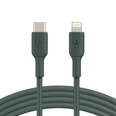 Belkin CAA003bt1MMG USB-C цена и информация | Borofone 43757-uniw | kaup24.ee