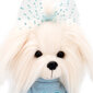 Mänguasja Lucky Doggy kollektsiooni rõivakomplekt: Winter Mood (25 cm) hind ja info | Pehmed mänguasjad | kaup24.ee