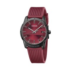 Мужские часы Calvin Klein 17114 цена и информация | Мужские часы | kaup24.ee