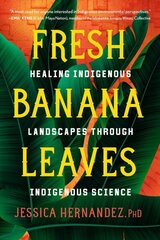 Fresh Banana Leaves: Healing Indigenous Landscapes through Indigenous Science hind ja info | Ühiskonnateemalised raamatud | kaup24.ee