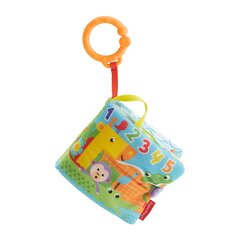 Fisher Price'i riidest raamat hind ja info | Imikute mänguasjad | kaup24.ee