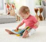 Fisher Price'i riidest raamat hind ja info | Imikute mänguasjad | kaup24.ee