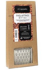 Pulkadega kodulõhn ACappella Mysterious mornings 100 ml. hind ja info | Kodulõhnastajad | kaup24.ee