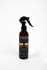 Black Edition pihustatav koduparfüüm, Pink Pepper & Guaiac Wood, 200 ml hind ja info | Kodulõhnastajad | kaup24.ee