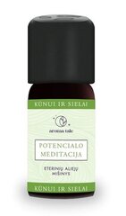 Eeterlike õlide segu potentsiaalne meditatsioon, 10 ml цена и информация | Эфирные, косметические масла, гидролаты | kaup24.ee