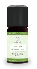 Eeterlike õlide segu SÄÄSTLIKU MEDITATSIOON 10 ml. цена и информация | Эфирные, косметические масла, гидролаты | kaup24.ee