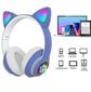 Juhtmevaba Cat Ear LED Over Ear 5.0 Bluetooth Dual Connection RGB Bass stereo mürasummutavad kõrvaklapid mikrofoniga цена и информация | Arendavad mänguasjad | kaup24.ee