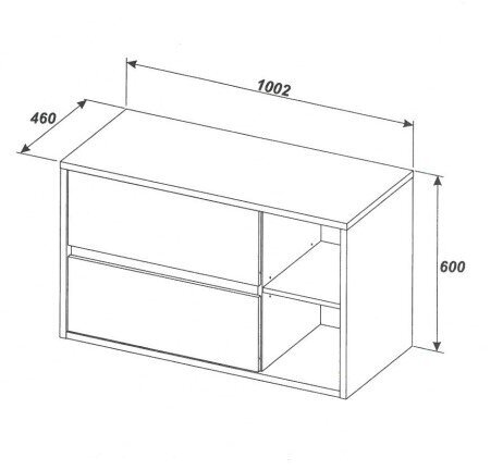 Seinale paigaldatav valamukapp, tamm Hamptron 100x60x46см HAMPTON цена и информация | Vannitoakapid | kaup24.ee