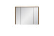 Vannitoa peeglikapp ilma valgustuseta Tamm Hunton 75x100x16 cm HAMPTON цена и информация | Vannitoakapid | kaup24.ee