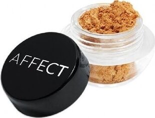 Lahtine lauvärv Affect Charmy Pigment, N-0130 Cinamon Touch, 2 g hind ja info | Affect Kosmeetika, parfüümid | kaup24.ee