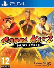 Видеоигра для Switch Just For Games Cobra Kai 2: Dojos Rising цена и информация | Компьютерные игры | kaup24.ee
