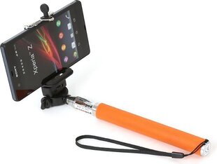 Omega OMMPKO цена и информация | Моноподы для селфи («Selfie sticks») | kaup24.ee