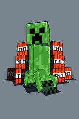 Laste pleed Minecraft TNT 100x150 cm цена и информация | Покрывала, пледы | kaup24.ee