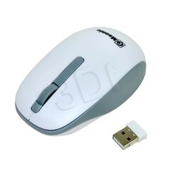Msonic MX707W, valge hind ja info | Msonic Arvutid ja IT- tehnika | kaup24.ee