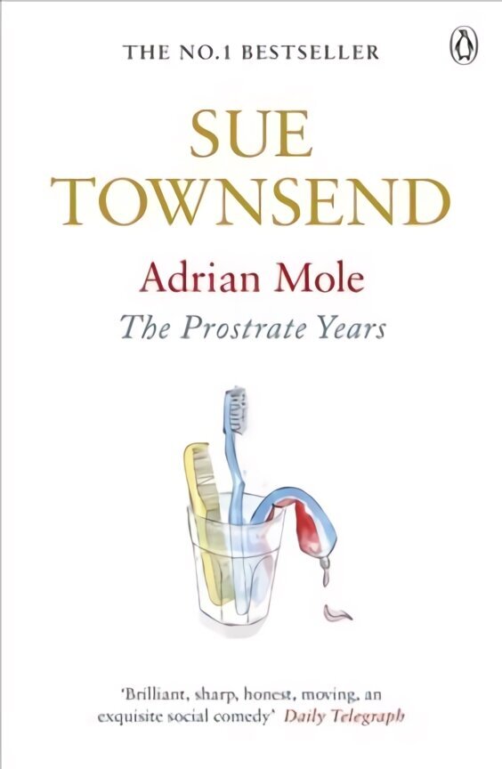 Adrian Mole: The Prostrate Years 8th edition цена и информация | Fantaasia, müstika | kaup24.ee