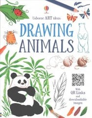Art Ideas Drawing Animals hind ja info | Noortekirjandus | kaup24.ee