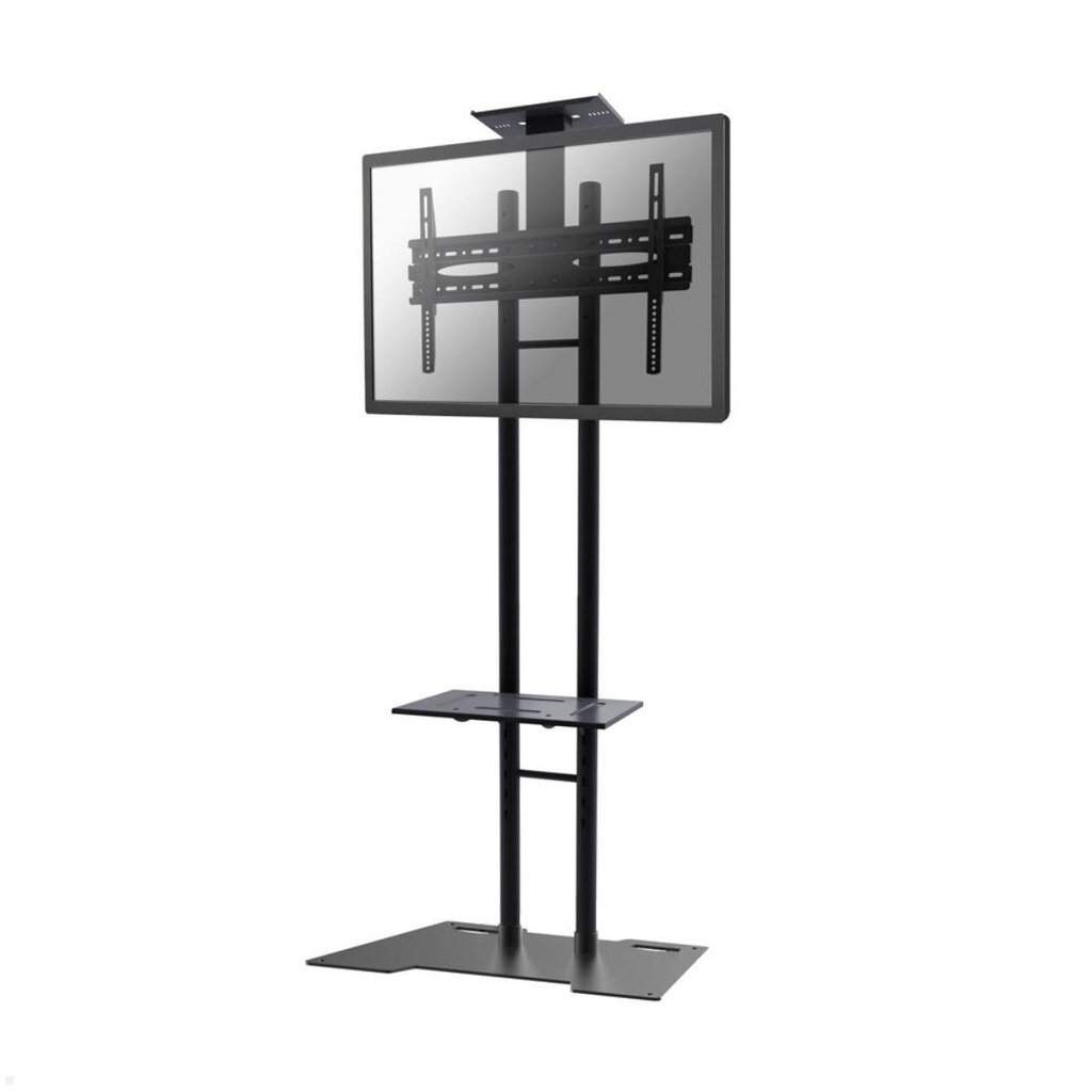 NewStar Mobile Flatscreen Floor Stand - (height: 155-170 cm) цена и информация | Teleri seinakinnitused ja hoidjad | kaup24.ee