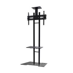 NewStar Mobile Flatscreen Floor Stand - (height: 155-170 cm) цена и информация | Кронштейны и крепления для телевизоров | kaup24.ee