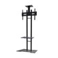 NewStar Mobile Flatscreen Floor Stand - (height: 155-170 cm) цена и информация | Teleri seinakinnitused ja hoidjad | kaup24.ee